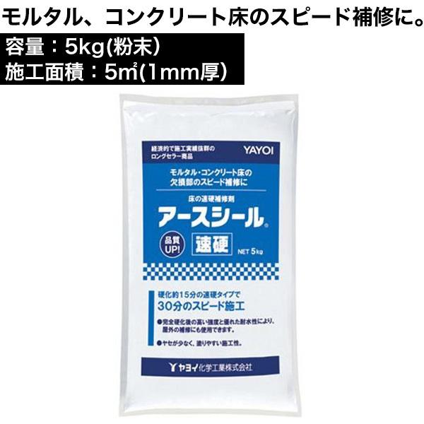 アースシール速硬 5kg　床用下地補修剤　モルタル、コンクリート床の補修に