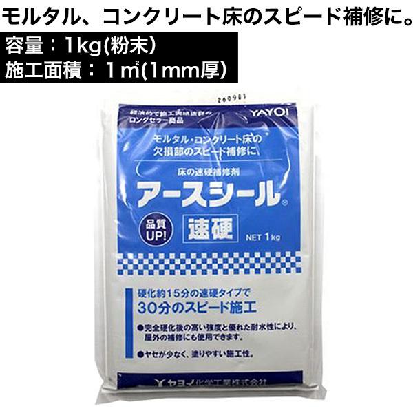 アースシール速硬 1kg　床用下地補修剤　モルタル、コンクリート床の補修に